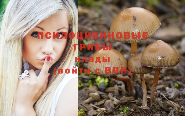 гидропоника Кукмор