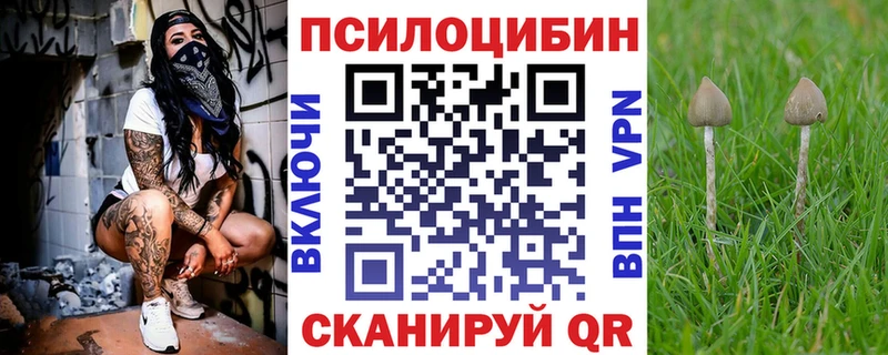 Галлюциногенные грибы MAGIC MUSHROOMS Темников